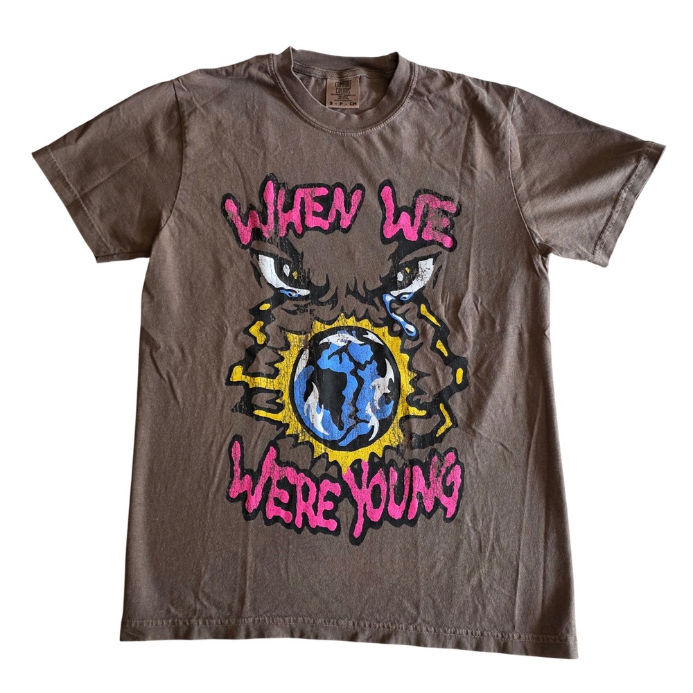 When We Were Young Festival 2025 T-Shirt Comfort Colors Brown Small Blink-182